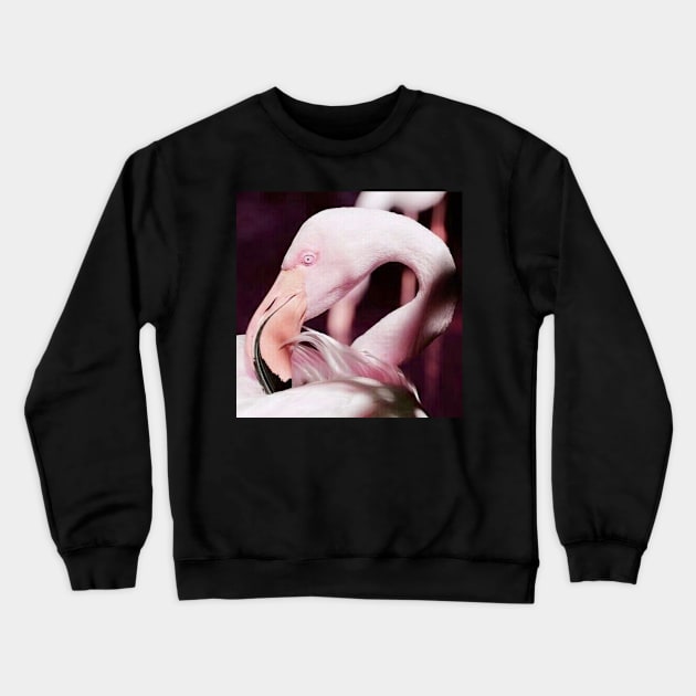 Pink Flamingo Real Photograph Art Nature Design Crewneck Sweatshirt by DesignIndex